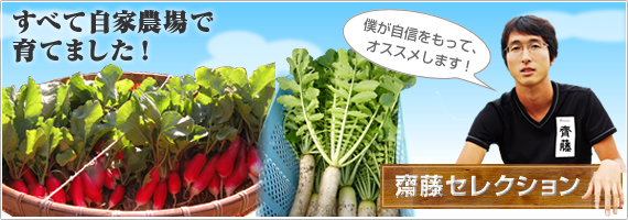 バナー（仮）